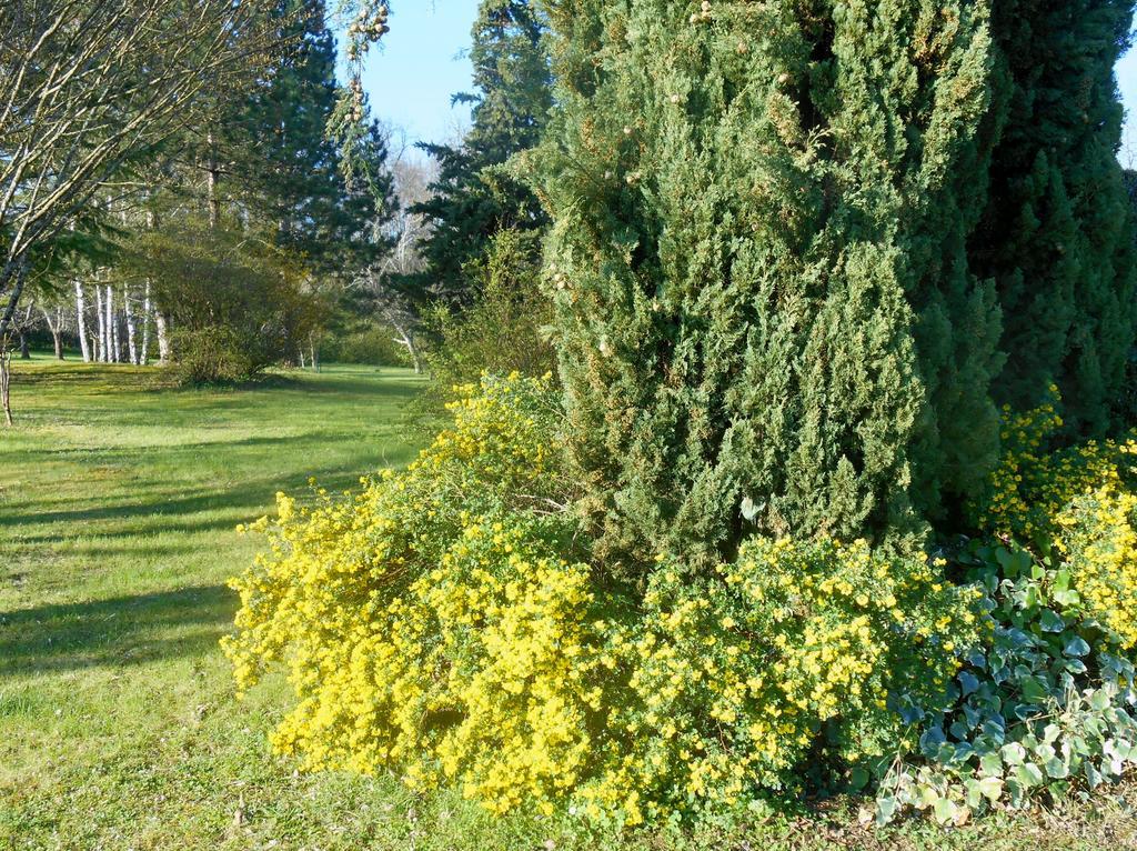 Le Colombier Bed & Breakfast Villeneuve-sur-Lot Exterior foto