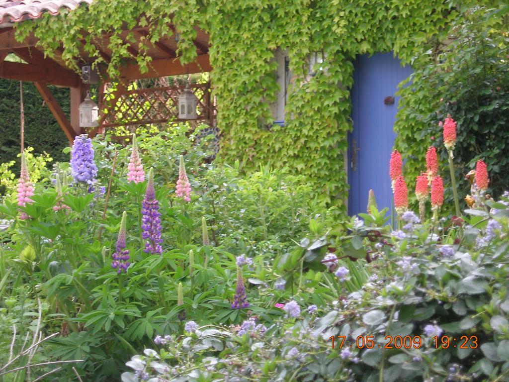 Le Colombier Bed & Breakfast Villeneuve-sur-Lot Exterior foto