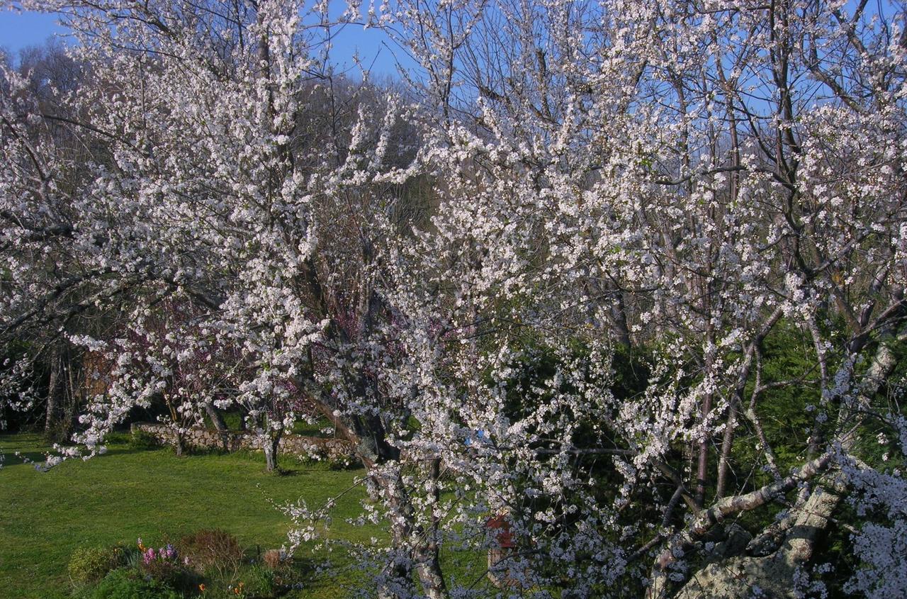Le Colombier Bed & Breakfast Villeneuve-sur-Lot Exterior foto